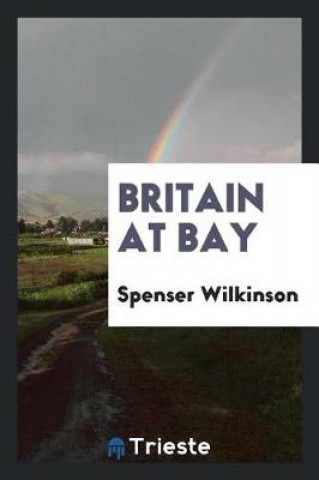Könyv Britain at Bay Spenser Wilkinson