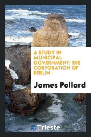 Knjiga Study in Municipal Government James Pollard