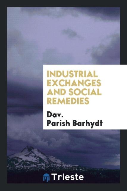 Kniha Industrial Exchanges and Social Remedies Dav. Parish Barhydt