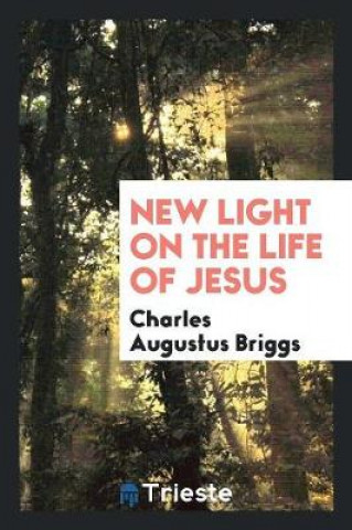 Kniha New Light on the Life of Jesus Charles Augustus Briggs