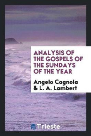 Kniha Analysis of the Gospels of the Sundays of the Year Angelo Cagnola