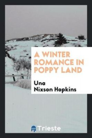 Kniha Winter Romance in Poppy Land Una Nixson Hopkins