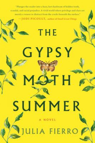 Könyv The Gypsy Moth Summer Julia Fierro