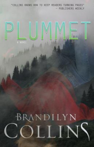 Buch Plummet Brandilyn Collins