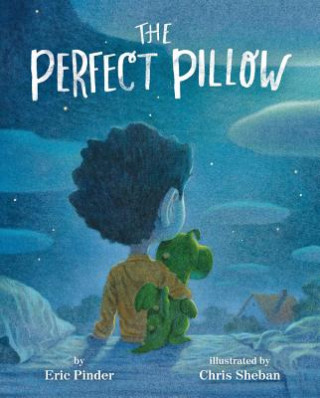 Carte Perfect Pillow Eric Pinder