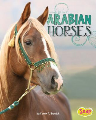 Kniha Arabian Horses Carrie A. Braulick