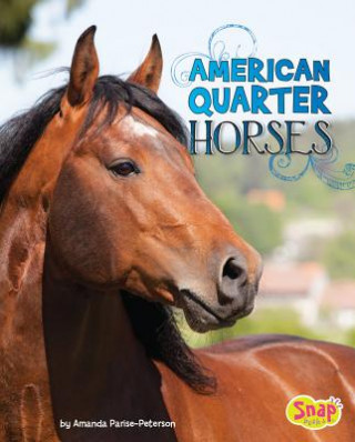 Kniha American Quarter Horses Amanda Parise-Peterson
