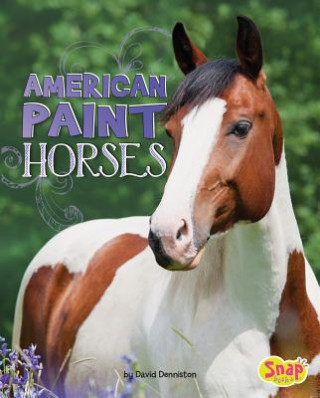 Kniha American Paint Horses David Denniston