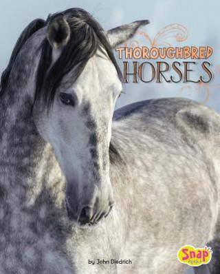 Könyv Thoroughbred Horses John Diedrich