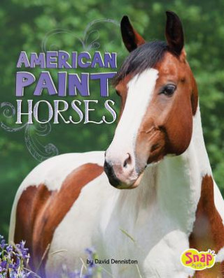 Carte American Paint Horses David Denniston