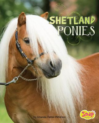 Kniha Shetland Ponies Amanda Parise-Peterson