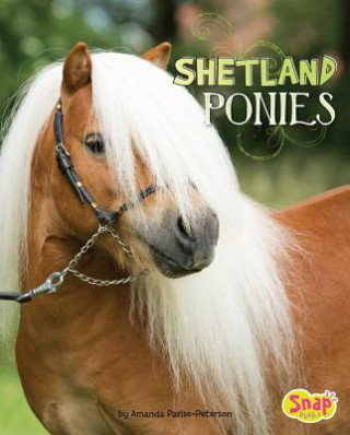 Buch Shetland Ponies Amanda Parise-Peterson