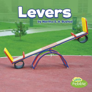 Livro Levers Martha E. Rustad