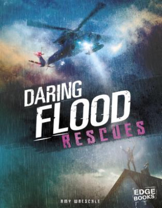 Книга Daring Flood Rescues Amy Waeschle