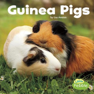 Kniha Guinea Pigs Lisa J. Amstutz