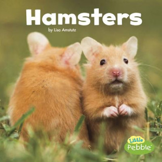 Book Hamsters Lisa J. Amstutz