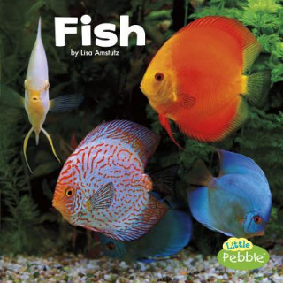 Kniha Fish Lisa J. Amstutz