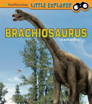 Könyv Brachiosaurus Kathryn Clay