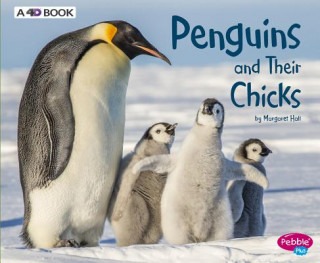 Książka Penguins and Their Chicks: A 4D Book Margaret Hall