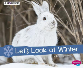 Libro Let's Look at Winter: A 4D Book Sarah L. Schuette
