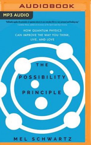 Audio The Possibility Principle: How Quantum Physics Can Improve the Way You Think, Live, and Love Mel Schwartz