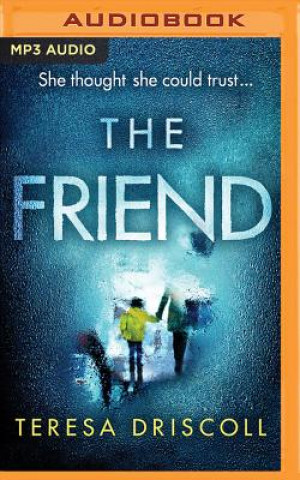 Audio The Friend Teresa Driscoll