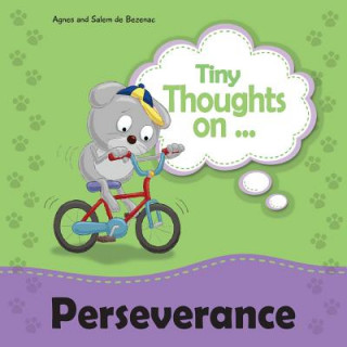 Book Tiny Thoughts on Perseverance Agnes De Bezenac
