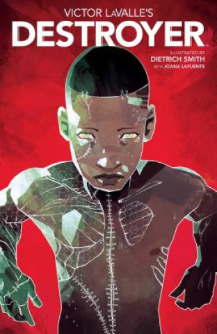 Buch Victor LaValle's Destroyer Victor Lavalle