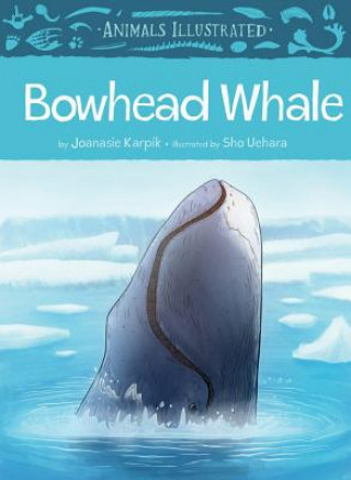 Книга Animals Illustrated: Bowhead Whale Joanasie Karpik