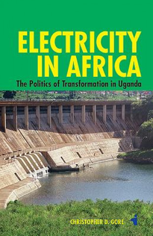 Книга Electricity in Africa: The Politics of Transformation in Uganda Christopher D. Gore