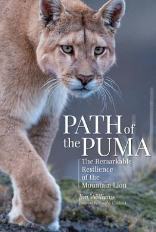 Könyv Path of the Puma Jim Williams