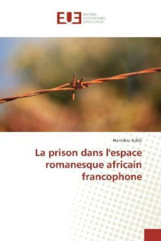 Książka La prison dans l'espace romanesque africain francophone Hamidou Baldé