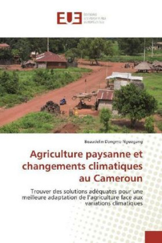 Kniha Agriculture paysanne et changements climatiques au Cameroun Beaudelin Dongmo Nguegang