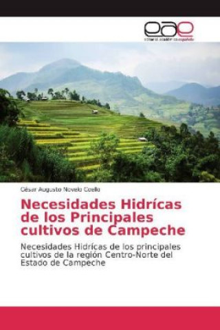 Książka Necesidades Hidrícas de los Principales cultivos de Campeche César Augusto Novelo Coello