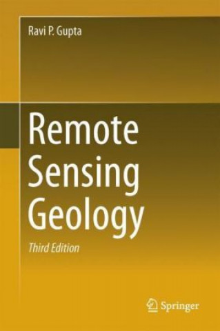 Knjiga Remote Sensing Geology Ravi P. Gupta