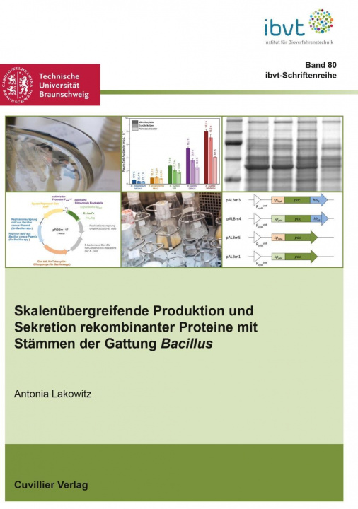 Carte Skalenübergreifende Produktion und Sekretion rekombinanter Proteine mit Stämmen der Gattung Bacillus Antonia Lakowitz