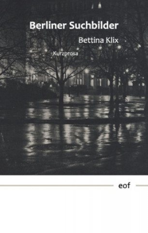 Knjiga Berliner Suchbilder Bettina Klix