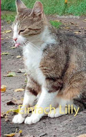 Kniha Einfach Lilly Thomas Wenig