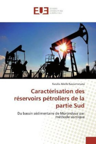 Kniha Caractérisation des réservoirs pétroliers de la partie Sud Ravaka Arielle Rasoamanana