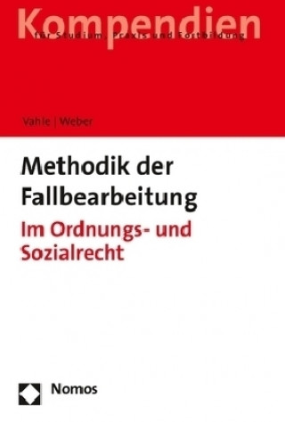 Livre Methodik der Fallbearbeitung Dirk Weber