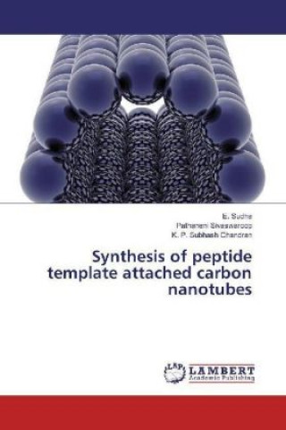 Könyv Synthesis of peptide template attached carbon nanotubes E. Sudha