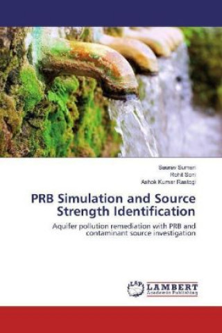 Knjiga PRB Simulation and Source Strength Identification Saurav Suman