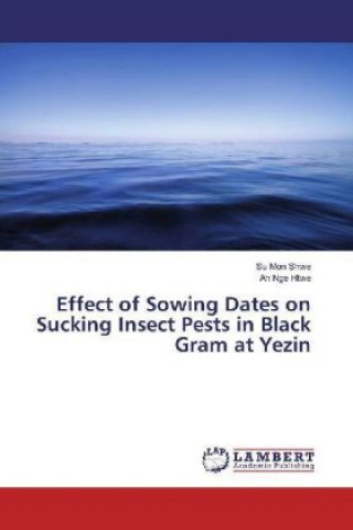 Carte Effect of Sowing Dates on Sucking Insect Pests in Black Gram at Yezin Su Mon Shwe