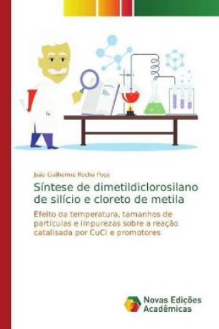 Книга Síntese de dimetildiclorosilano de silício e cloreto de metila João Guilherme Rocha Poço