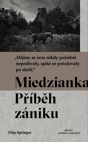 Книга Miedzianka Filip Springer