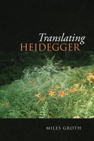 Book Translating Heidegger Miles Groth