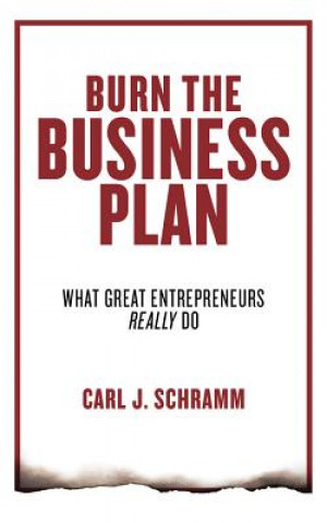 Audio Burn the Business Plan: What Great Entrepreneurs Really Do Carl J. Schramm