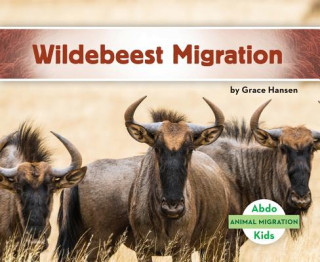 Knjiga Wildebeest Migration Grace Hansen