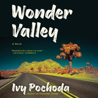 Audio Wonder Valley Ivy Pochoda