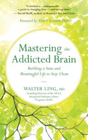 Audio Mastering the Addicted Brain: Building a Sane and Meaningful Life to Stay Clean Walter Ling